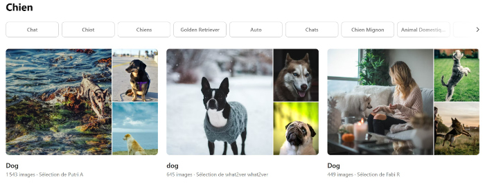 exemple de collections sur unplash
